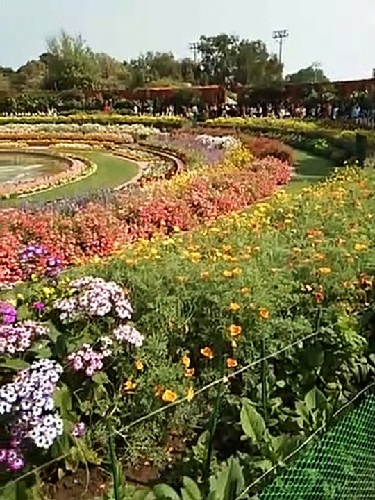video_20200301_110301