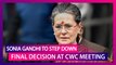 Sonia Gandhi To Resign As Congress President, Final Decision At CWC Meeting On August 24: Reports