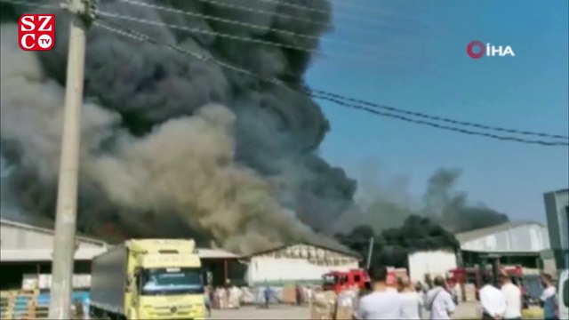 Sakarya'da market deposunda yangın: İtfaiye ve işçiler yangına müdahale ediyor