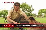 Entrenados para ayudar a vivir: los sorprendentes perros de asistencia