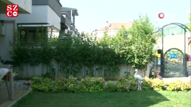 Bursa'da paha biçilemez hırsızlık güvenlik kamerasında