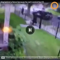 États-Unis : un policier tire sur un chien et lui ôte la vie