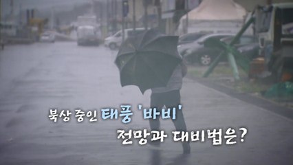 [뉴스큐] 태풍 '바비 ' 서해로 북상...전망은? / YTN