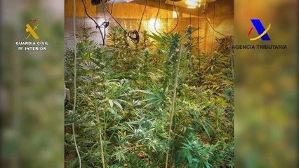 Desarticulada la conexión de las Islas Canarias de la banda motera 'Hells Angels'