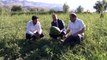 Erzincan'ın bereketli topraklarında üretilen karpuzun hasadı sürüyor