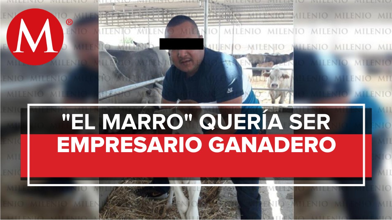 'El Marro' compró vacas a César Duarte; él quería ser empresario ganadero