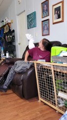 Girl Does Duet With With Cockatoo