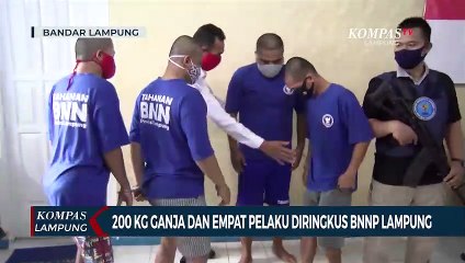 BNNP Lampung Tangkap 4 Pengedar dan Sita 206 Kilogram Ganja
