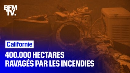 Les incendies ont déjà ravagé 4 fois plus d'hectares qu'en 2019