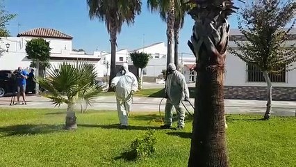 Los pueblos de este lado del Guadalquivir fumigan contra el virus del Nilo