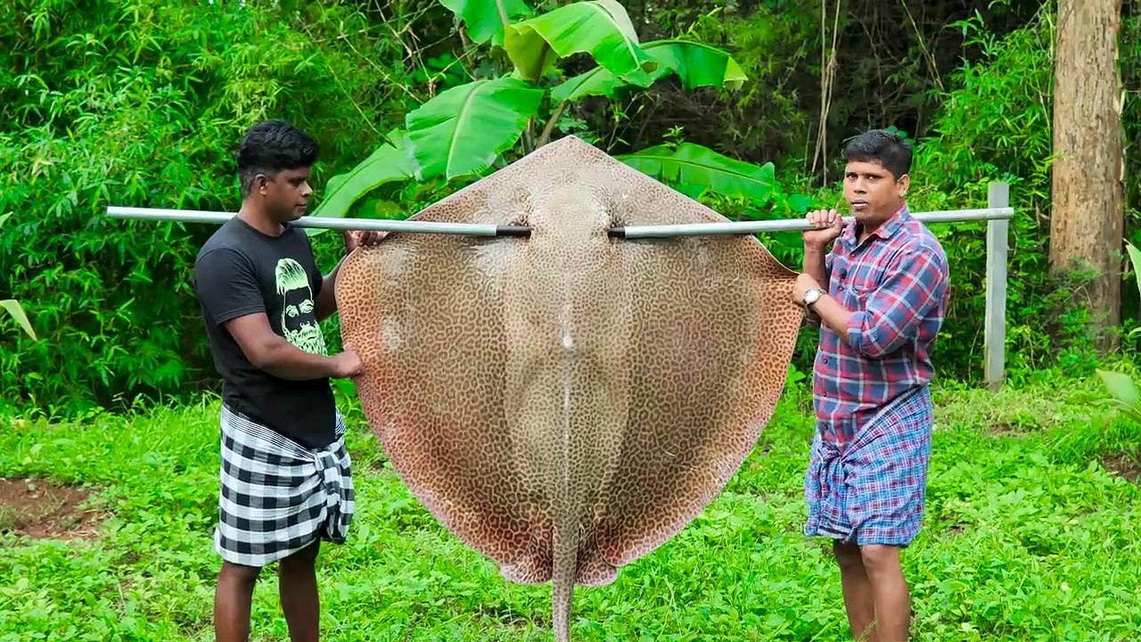75 kg GIANT STINGRAY FISH COOKING | 75 kg CUISSON DE POISSON STINGRAY GÉANT