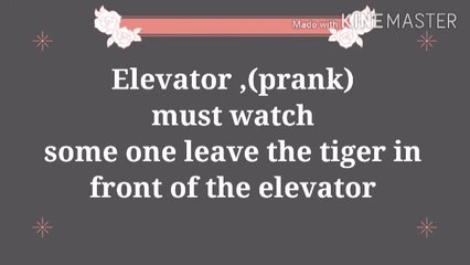 Elevator (PRANK)  Must Watch .  Some one leave  the Tiger in front of the Elevator.