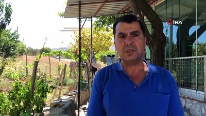 Kurbandan kaçan koyun 24 gün sonra bulundu