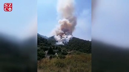 Kocaeli'de büyük orman yangını