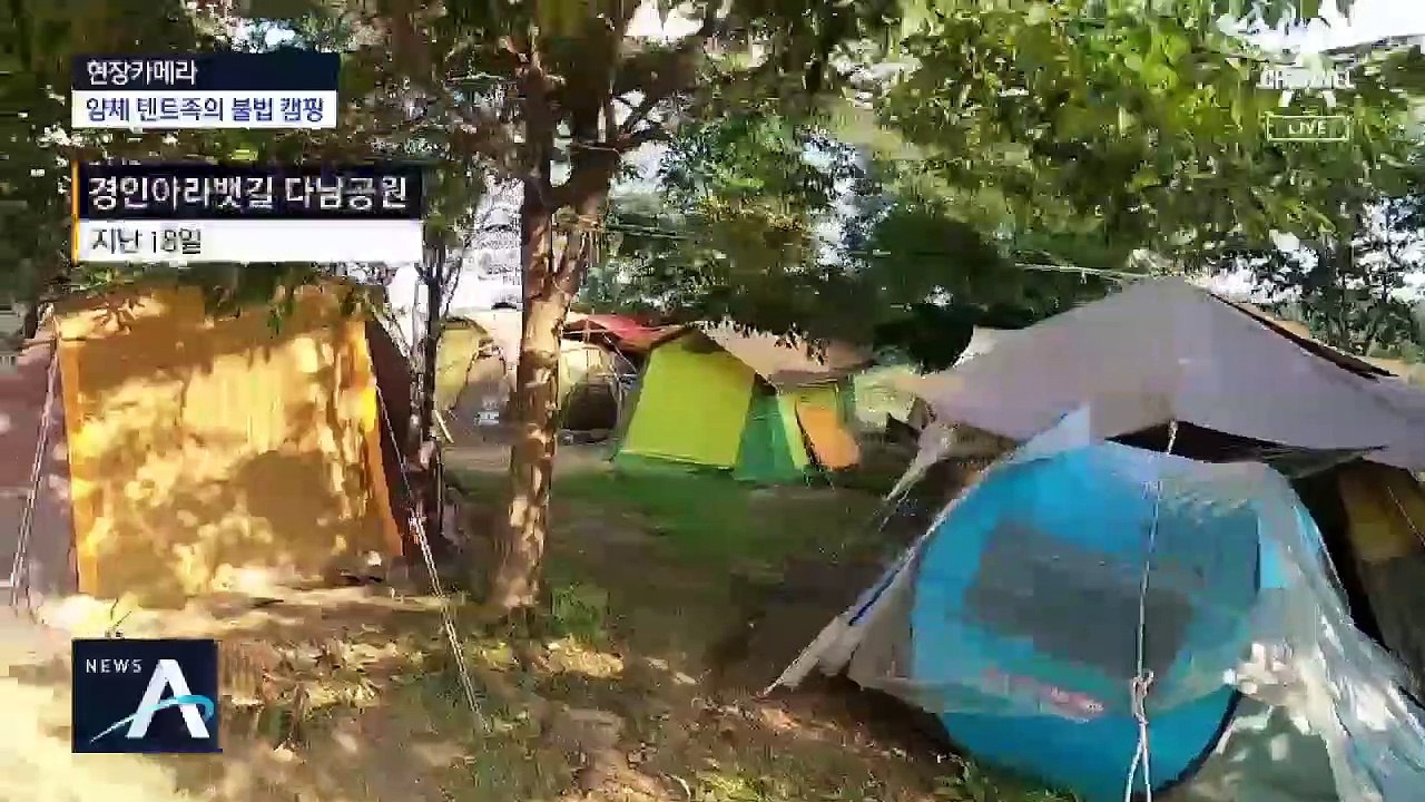 [현장 카메라]지역 명소 점령한 얌체 텐트족