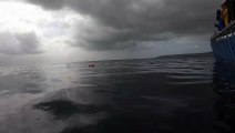 Great white shark breaches close to onlookers in attempt to eat bait dangling from boat