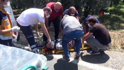 Lastiği patlayan fırın aracı zeytinliğe uçtu: 1 yaralı