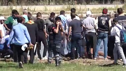 Malazgirt Zaferi kutlamalarında bariyerlere çarpan at öldü