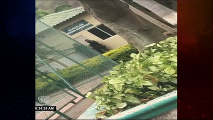 Alias "Brandon" fue aprehendido por agredir a policías en urbanización en el cantón Daule