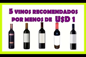 Vinos recomendados por menos de 1 Dolar (Argentina 2020)