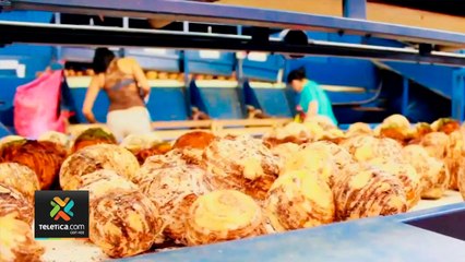 tn7-exportaciones-240820