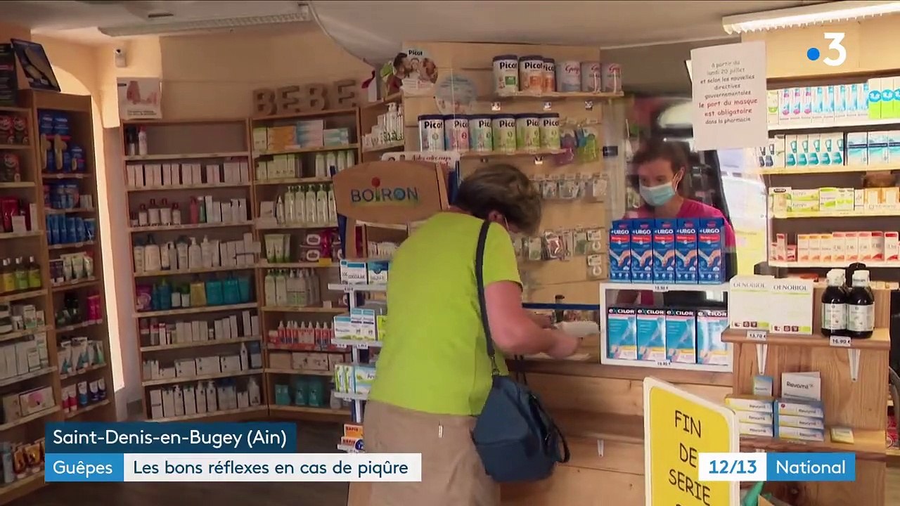 Guêpes : les bons réflexes à avoir en cas de piqûre