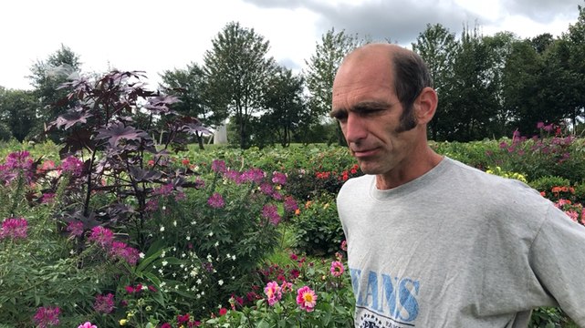 Le lycée agricole prépare son 25ème festival des Dahlias