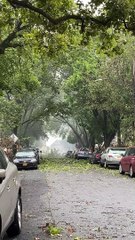 Tropical Storm Causes Power Lines to Combust