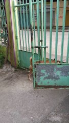 Smart Dog Opens Gate