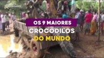 9 MAIORES CROCODILOS DO MUNDO - Baita Curiosidades -