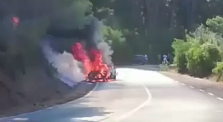 Isola d'Elba - Auto prende fuoco, scongiurato incendio boschivo (24.08.20)
