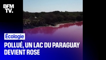 Au Paraguay, un lac devient rose à cause de la pollution