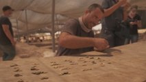 Hallado en Israel un tesoro islámico escondido con 425 monedas de oro puro