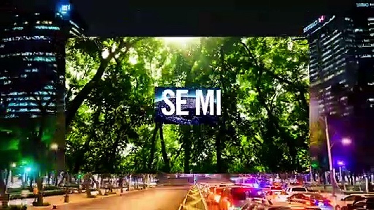 5 Micro-Momentos versión español