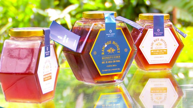 tn7-publireportaje-blue-zones-240820