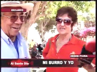 Mi burro y yo: conozca a un simpático y noble habitante de Piura