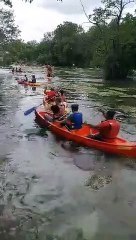 Journée cohésion : sortie canoë (3)