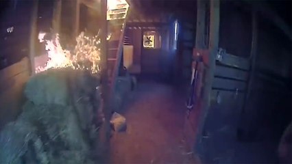 Des policiers sauvent un cheval d’une grange en feu
