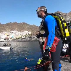 Voluntarios limpian el litoral de la isla de Tenerife. Pedro Millán
