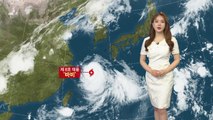 [날씨] 더욱 강해지는 태풍 '바비'...제주 오늘 밤부터 강한 비바람 / YTN