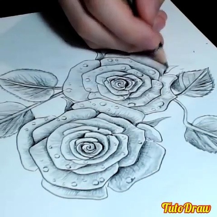 drawing