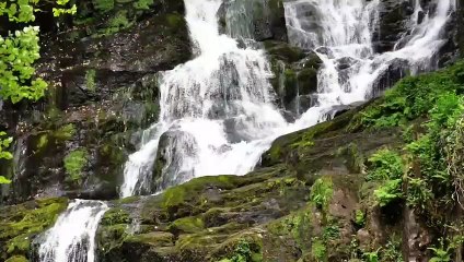 MUSICA PARA MEDITAR  CON SONIDOS DE LA NATURALEZA.MUSIC TO MEDITATE WITH SOUNDS OF NATURE