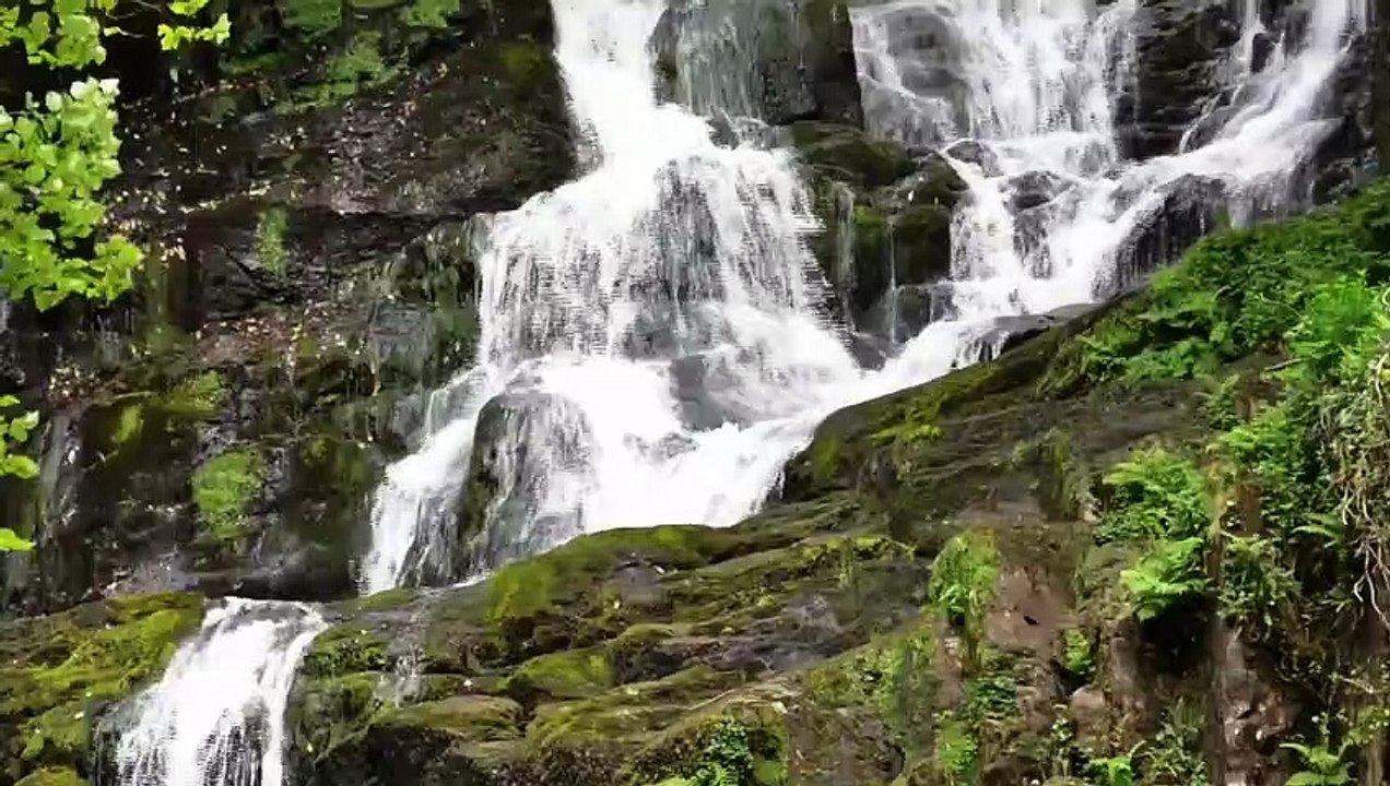MUSICA PARA MEDITAR  CON SONIDOS DE LA NATURALEZA.MUSIC TO MEDITATE WITH SOUNDS OF NATURE