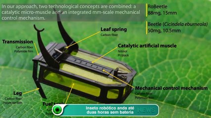 Inseto robótico anda até duas horas sem bateria