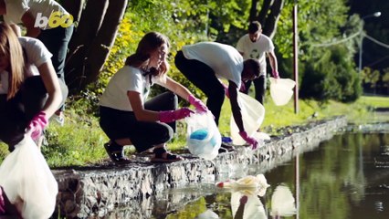 Not Being Environmentally Friendly Could Get You Dumped