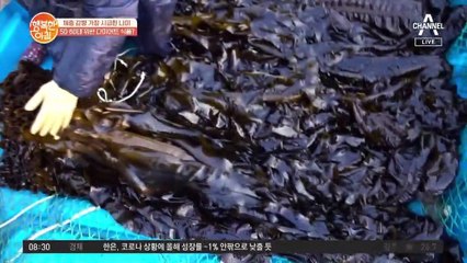 항산화식품 섭취! [5·60대 다이어트 비결]①