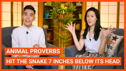 Animal Proverbs: Hit The Snake 7 Inches Below Its Head | Intermediate Lesson | ChinesePod (v)
