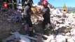 Dog rescued 10 days after deadly Italian quake