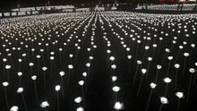 LED lights up a world record