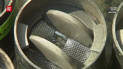 Indonesia hopes to guard against Zika with airport larvae traps